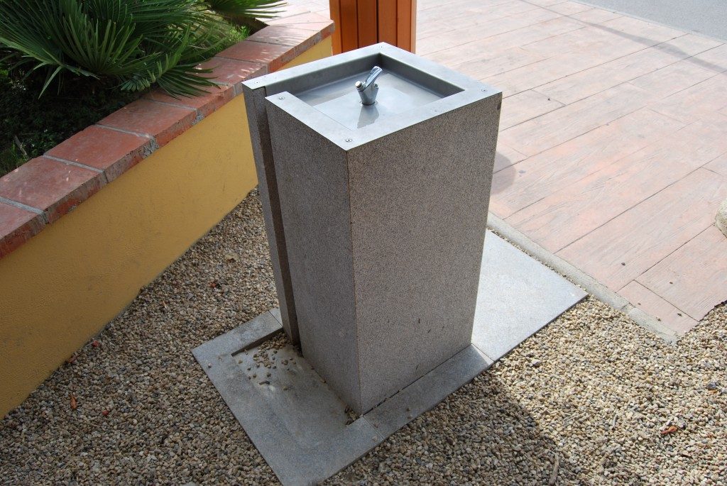 01fontaine Fervenza_GR