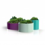 01jardinière s95_GR