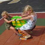 Lambine RLB bois_synchro