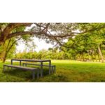 midori_picnic hysoTA272