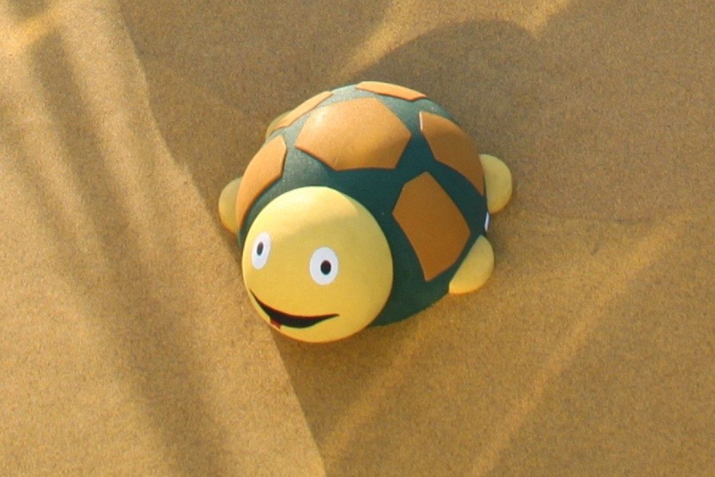Tortue_playtop