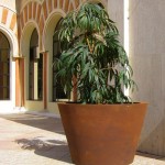 Jardinière Opolo_GR