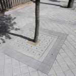 Barrosa Entourage arbre_GR