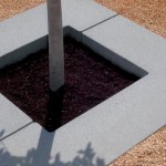 cap i cua-entourage d'arbre_mago urban