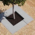 cap i cua-entourage d'arbre_mago urban