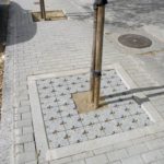 Da Cruz Entourage arbre _GR