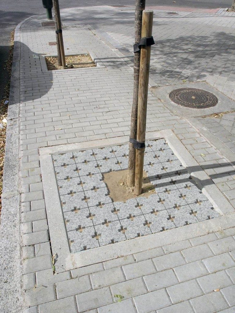 Da Cruz Entourage arbre _GR