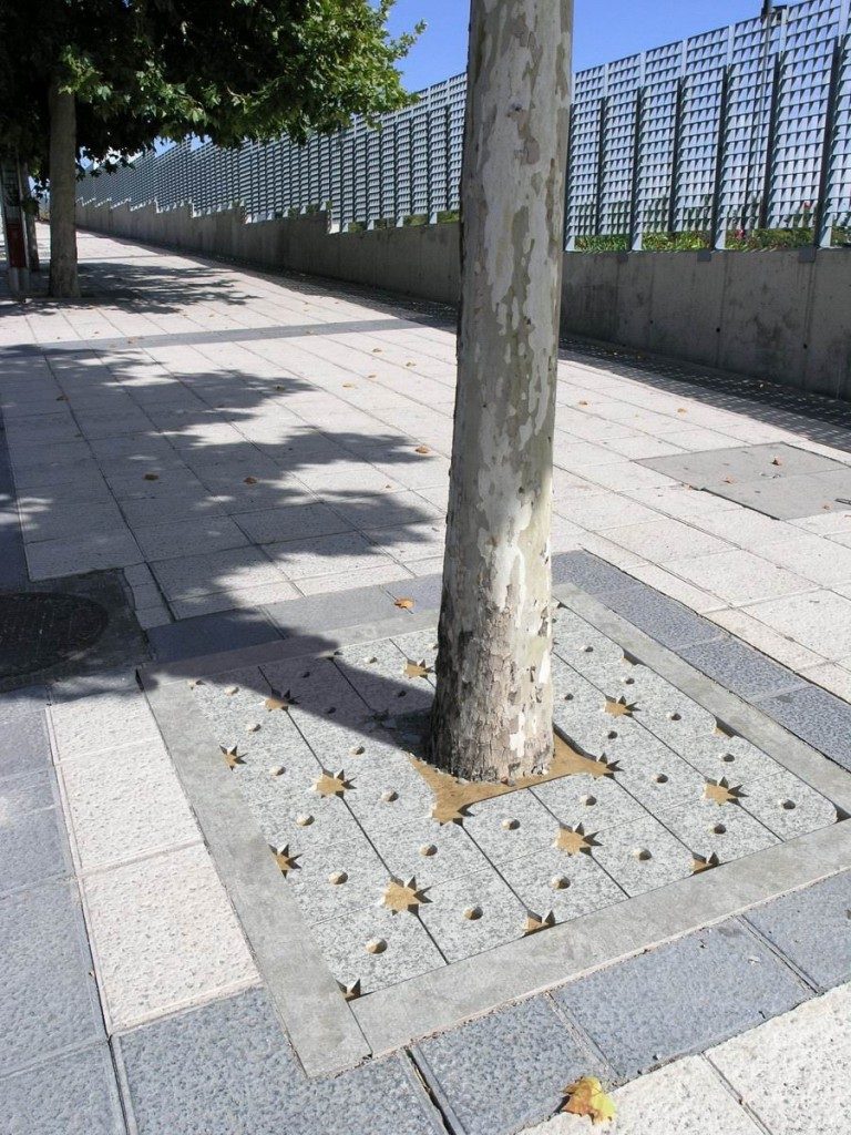 Moreira Entourage arbre_GR