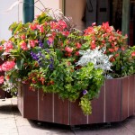 JA121 jardinière_compact