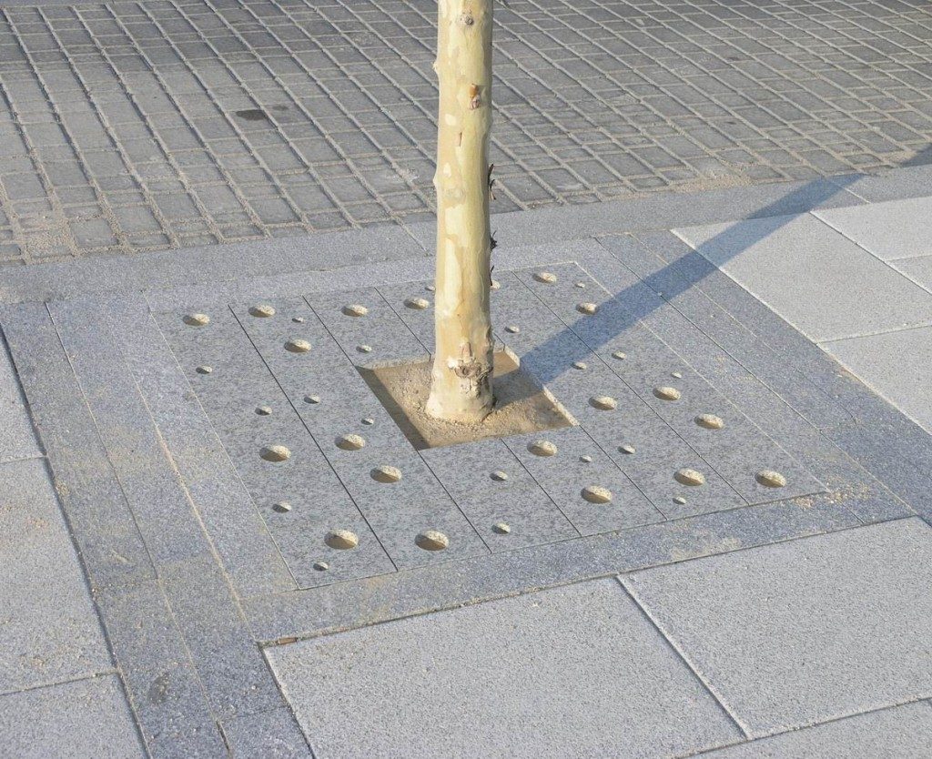 PATEIRO Entourage arbre _GR