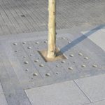 PATEIRO Entourage arbre _GR