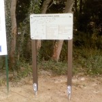 PS1 - Plan général du circuit - potoalu_synchro