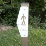 PS5 - Fléchage marcher droit potoalu_synchro