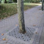 Raeiros Entourage arbre_GR02