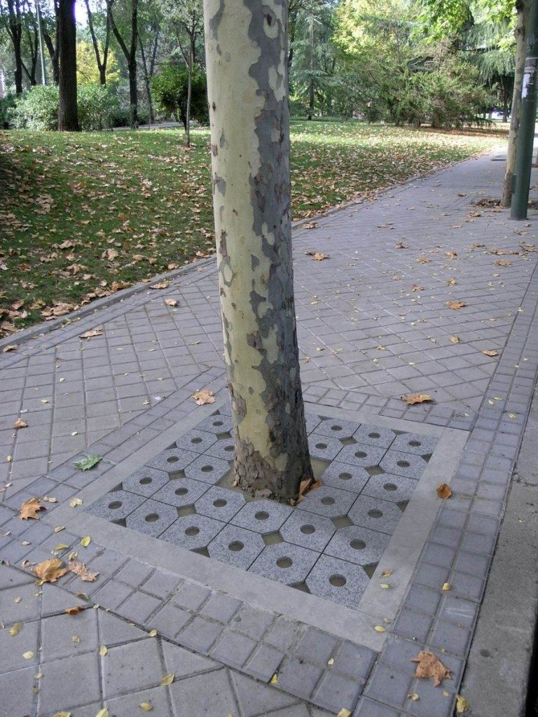 Raeiros Entourage arbre_GR02