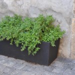 jardinière_Malva_mu