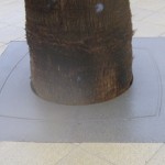 TV-entourage d'arbre_mago urban