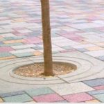 Via lactea-entourage d'arbre_mago urban