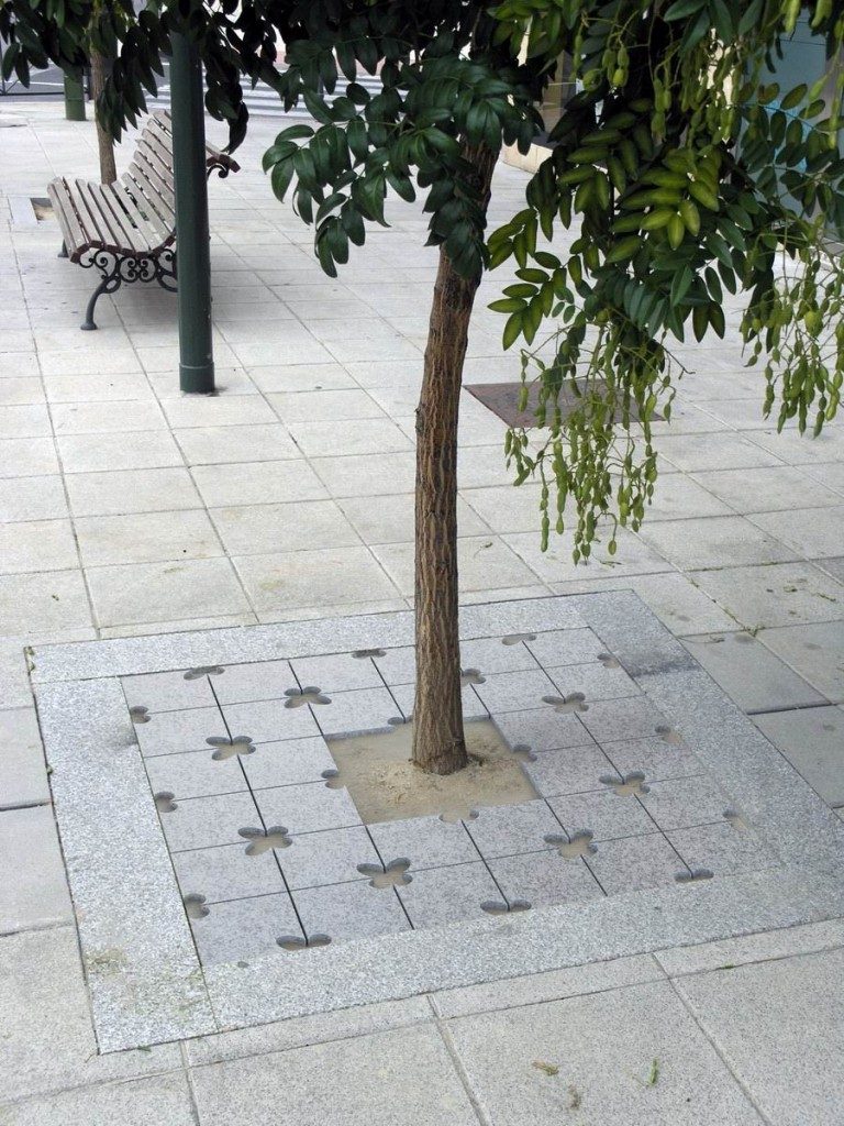 Volvoreta Entourage arbre_GR