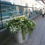 Folke jardinière_Nola