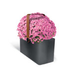 Planter-basket-jardinière_Lab23