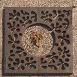 Henri Matisse-grille d'arbre_Santa&Cole