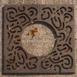 Paul Klee-grille d'arbre_Santa&Cole