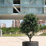 Tram-jardinière_Santa&Cole