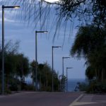 rama_lampadaire_santacole