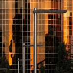 rama_lampadaire_santacole