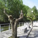 Banc avec Accoudoir Latéral midori Góis