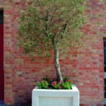 jardiniere_quadra_mu