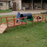 midori_jeux_araignée