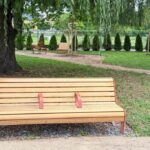BOROLA banc inclusif